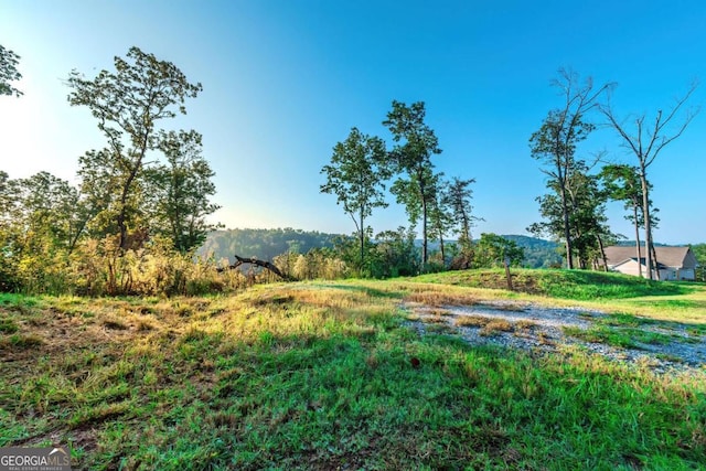 Listing photo 3 for LOT50 Jakes Landing Way S, Ellijay GA 30540