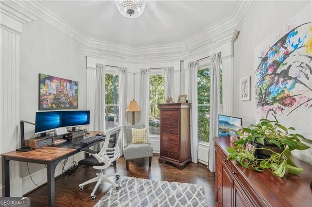 office area with a notable chandelier, ornamental molding, hardwood / wood-style flooring, and a wealth of natural light