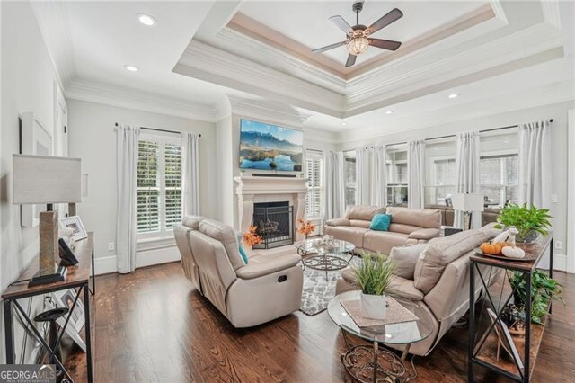 living room with crown molding, ceiling fan, wood-type flooring, and a raised ceiling