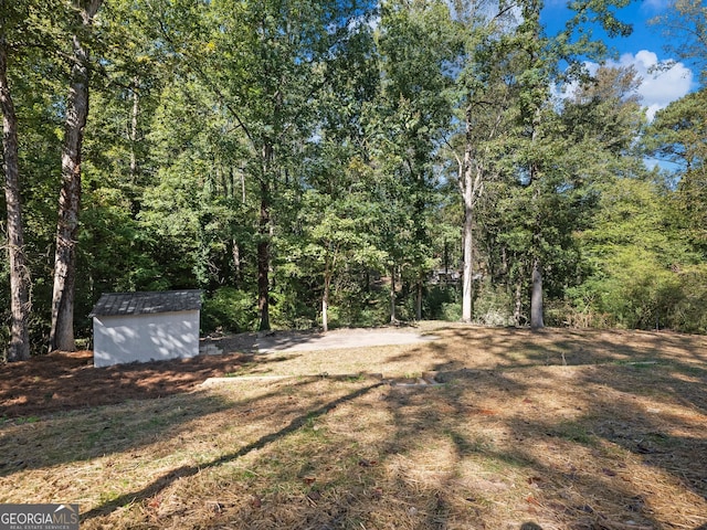 view of yard featuring a storage shed