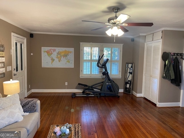 workout room featuring crown molding, dark hardwood / wood-style flooring, and ceiling fan