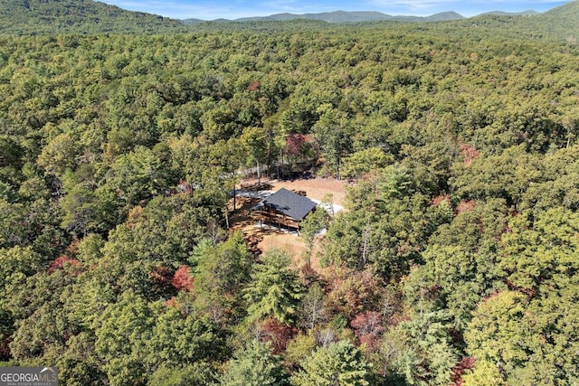 drone / aerial view featuring a mountain view