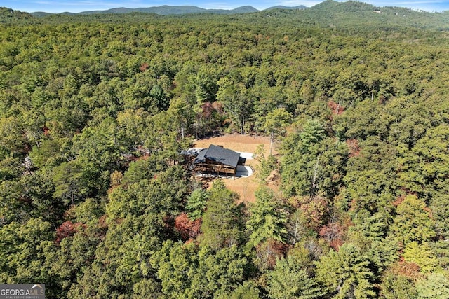 drone / aerial view featuring a mountain view