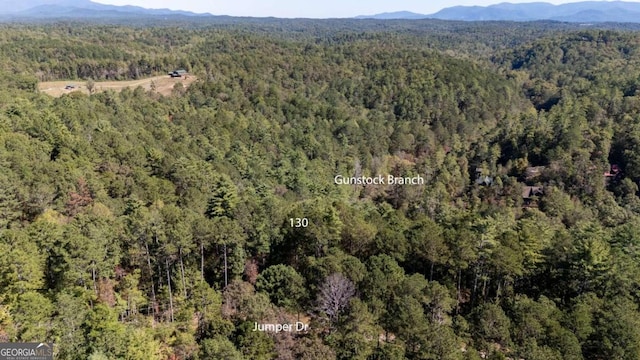 0000 Jumper Dr, Ellijay GA, 30540 land for sale