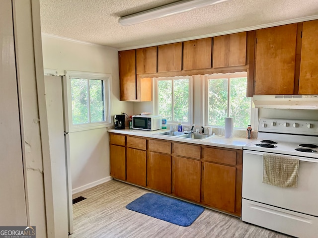 kitchen featuring light hardwood / wood-style flooring, sink, plenty of natural light, and white appliances