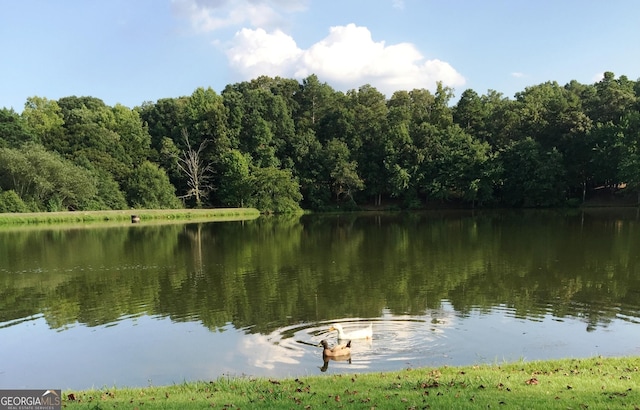 property view of water with a forest view