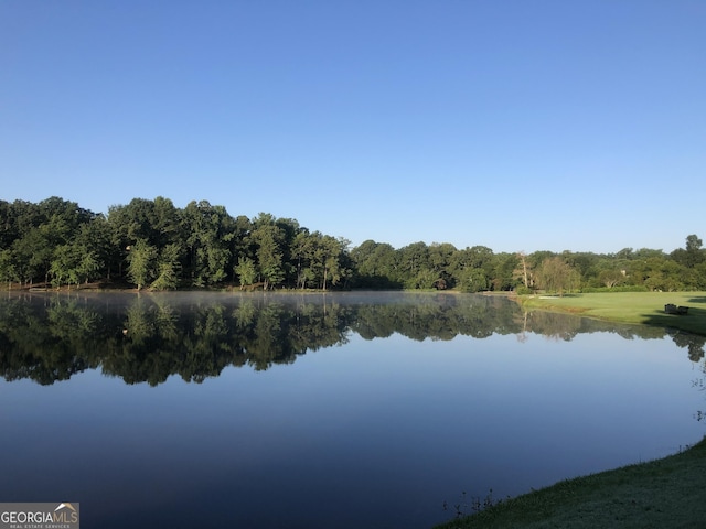 property view of water with a forest view