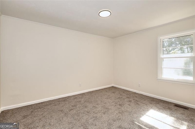 empty room with crown molding and carpet flooring