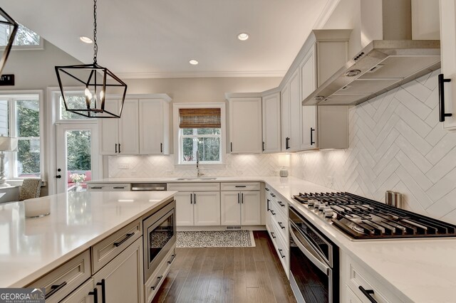 kitchen featuring wall chimney range hood, dark hardwood / wood-style flooring, appliances with stainless steel finishes, white cabinetry, and sink