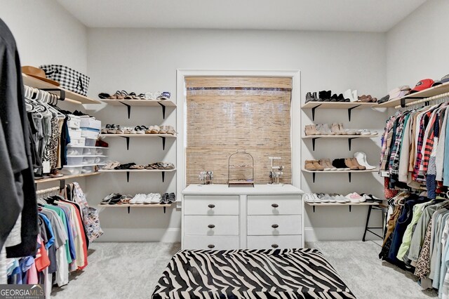 spacious closet with light colored carpet