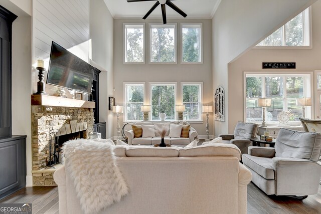 living room with hardwood / wood-style floors, a high ceiling, and plenty of natural light