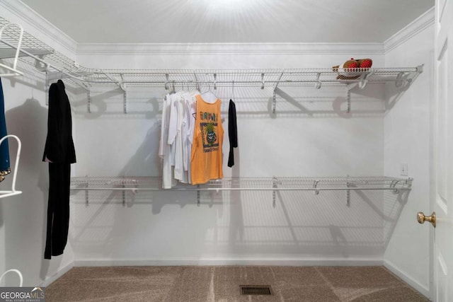 walk in closet featuring carpet flooring