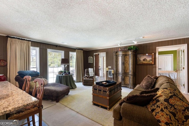 carpeted living room featuring wood walls, a textured ceiling, and crown molding