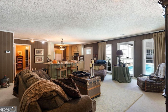 carpeted living room with ornamental molding, a textured ceiling, and wood walls