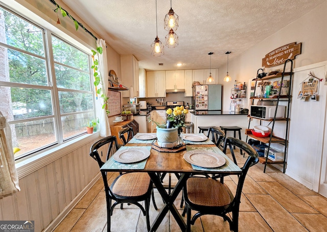 dining room featuring wood walls, a healthy amount of sunlight, and a textured ceiling