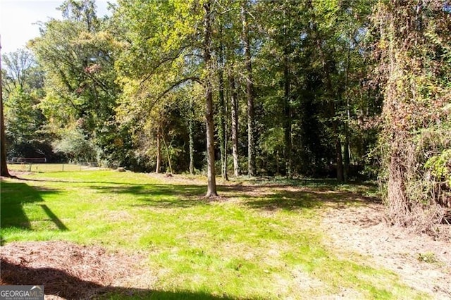 504 Milligan Dr, Stone Mountain, GA 30083 - view of grassy yard with a wooded view