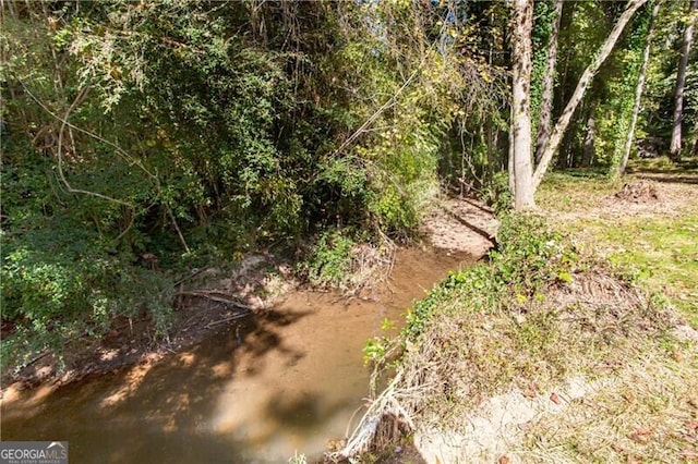 504 Milligan Dr, Stone Mountain, GA 30083 - view of undeveloped land
