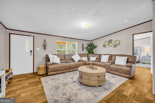 living room with ornamental molding, a textured ceiling, and light wood-type flooring