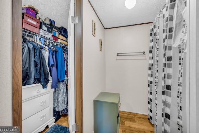 spacious closet with hardwood / wood-style flooring