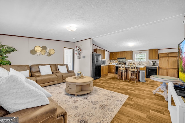 living room with light hardwood / wood-style flooring, ornamental molding, a textured ceiling, and sink