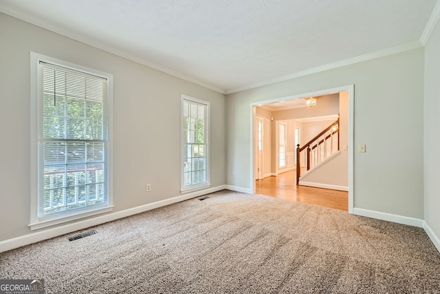 carpeted empty room featuring ornamental molding, a textured ceiling, and a healthy amount of sunlight