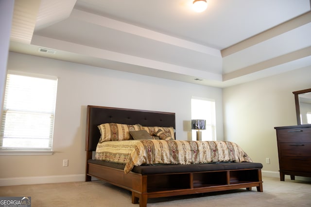 carpeted bedroom featuring a raised ceiling