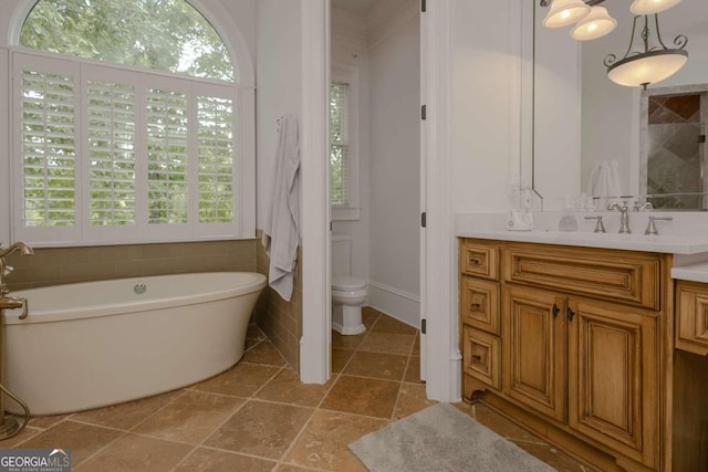 bathroom featuring vanity, toilet, and a washtub