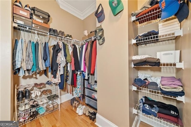 walk in closet with hardwood / wood-style floors