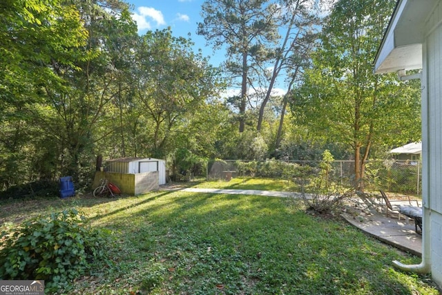 view of yard with a patio and a shed