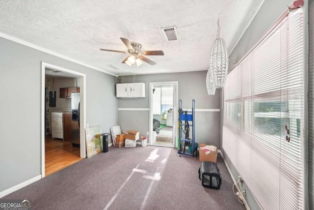 exercise room featuring a textured ceiling, electric panel, carpet, and ceiling fan