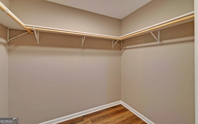 spacious closet with hardwood / wood-style floors