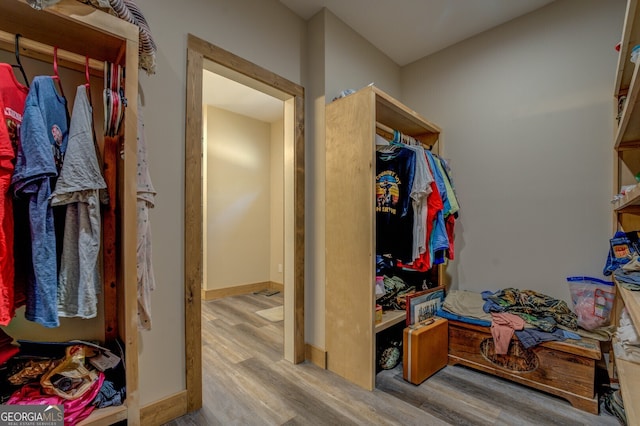 spacious closet with light hardwood / wood-style floors