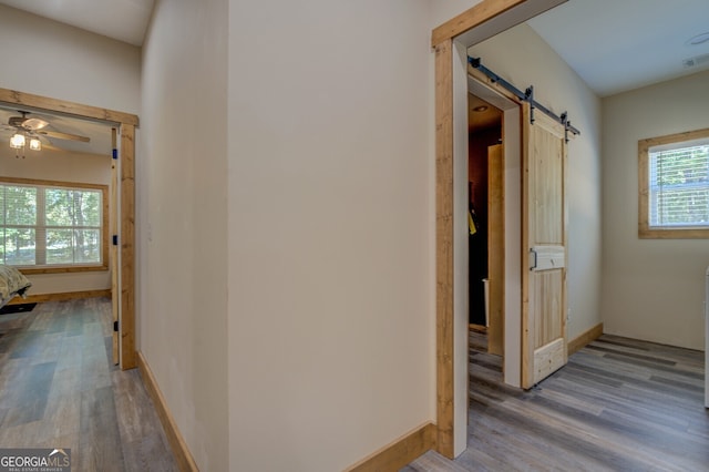 corridor with a barn door and hardwood / wood-style flooring