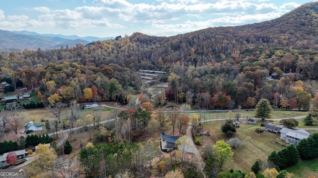 birds eye view of property with a mountain view