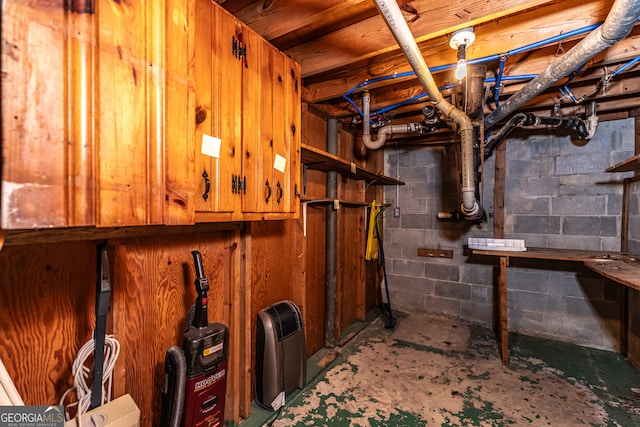 basement with wooden walls