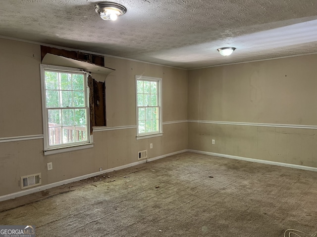 unfurnished room with carpet floors and a wealth of natural light