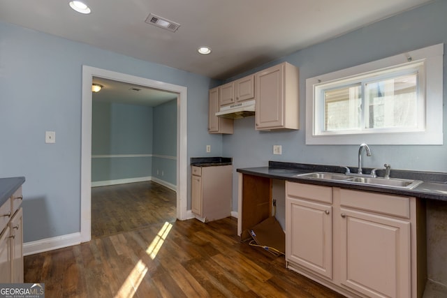 kitchen featuring sink and dark wood-type flooring