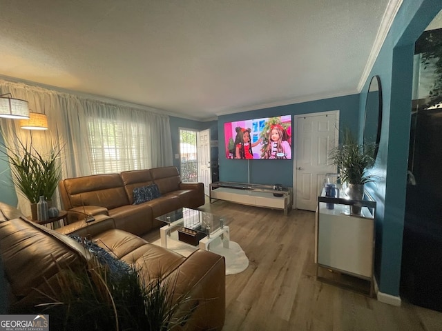 living room featuring crown molding and wood-type flooring