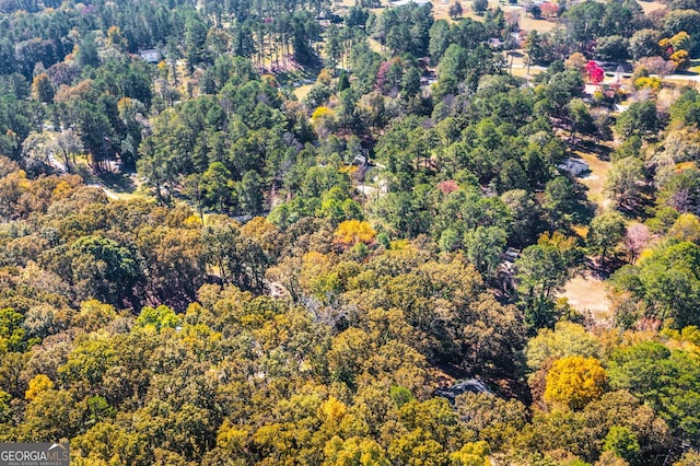 222 Valley View Dr, Rockmart, GA 30153 - birds eye view of property with a view of trees