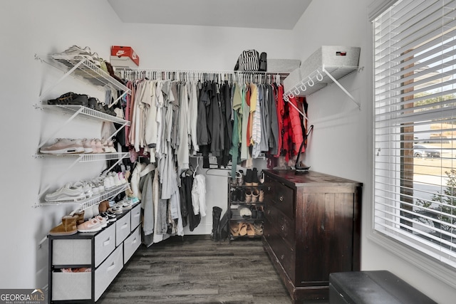 walk in closet featuring dark wood-type flooring