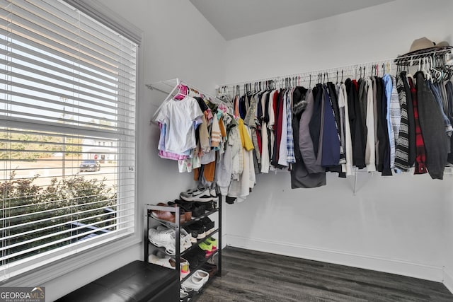 walk in closet with dark hardwood / wood-style floors