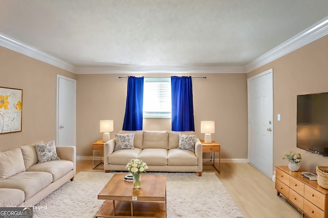 living room featuring light hardwood / wood-style floors and ornamental molding