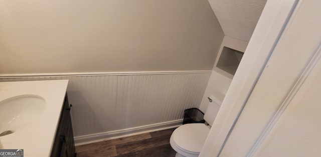 bathroom featuring toilet, vanity, and wood-type flooring