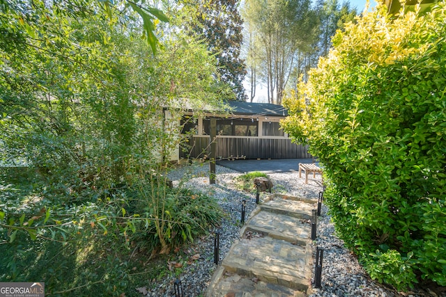 view of yard with a patio area