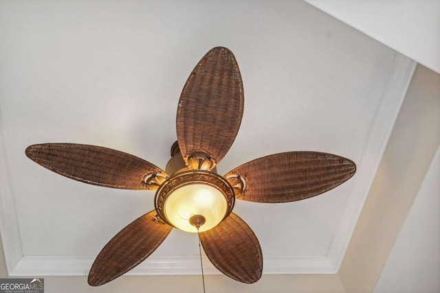 room details with ceiling fan