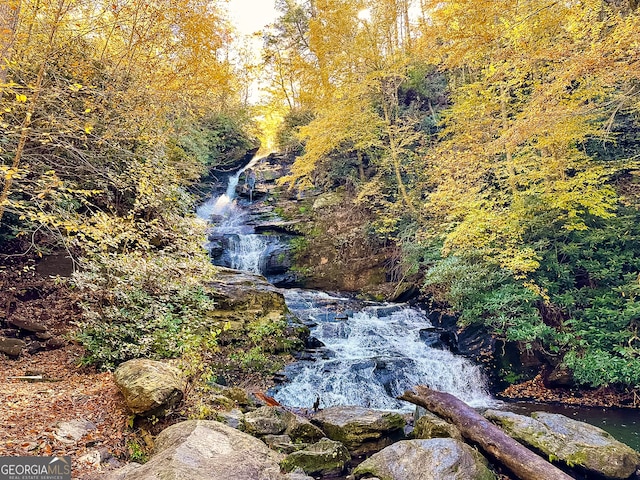 view of local wilderness