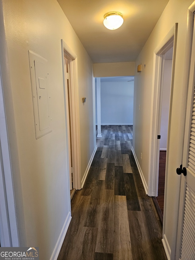 corridor featuring electric panel and dark hardwood / wood-style flooring