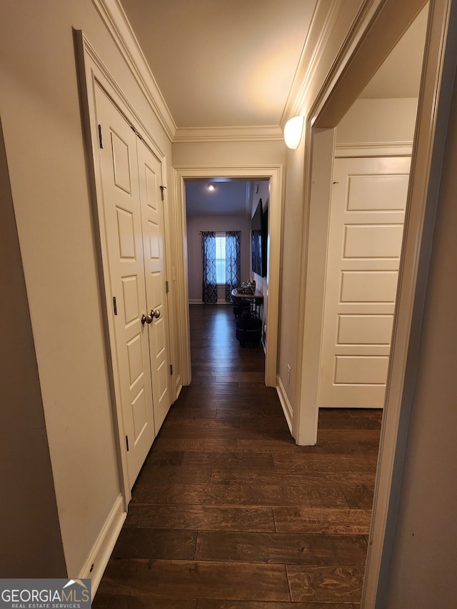 hallway with crown molding and dark hardwood / wood-style floors