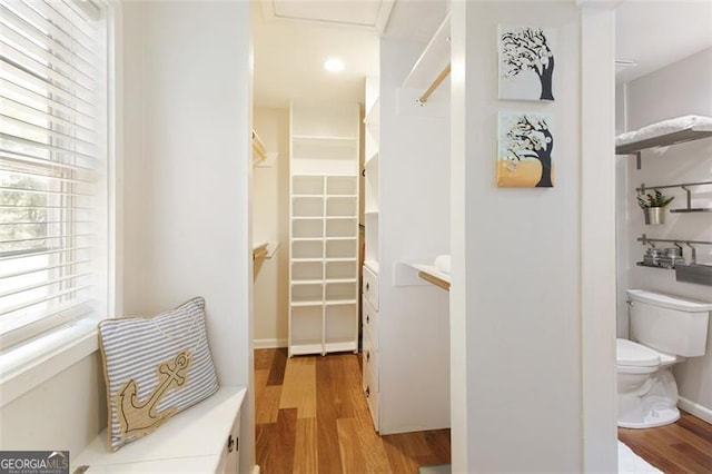 bathroom with a walk in closet, wood finished floors, a healthy amount of sunlight, and toilet