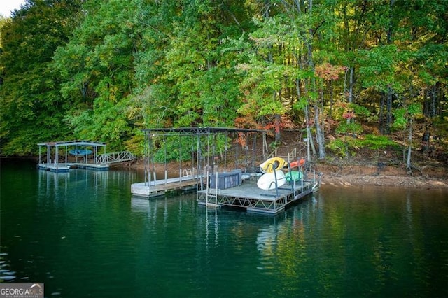 dock area featuring a water view